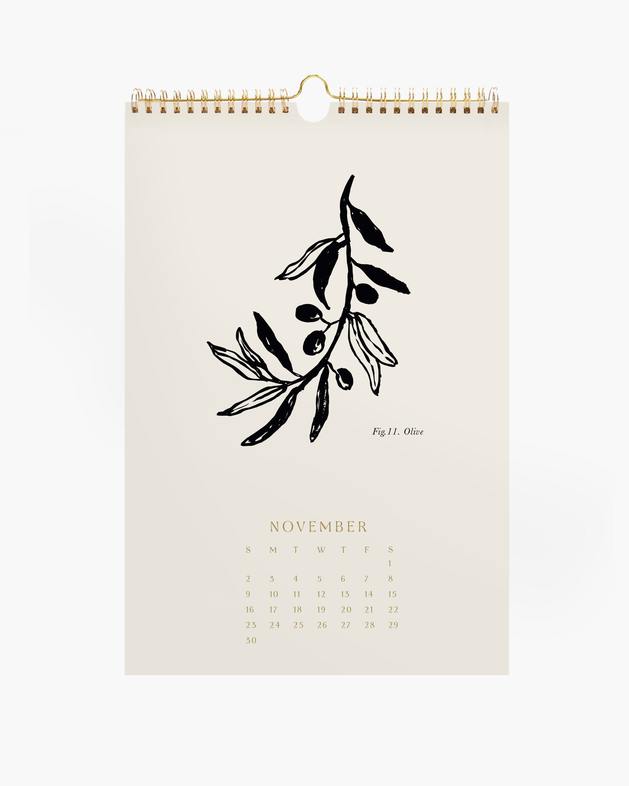 Aesthetic wall calendar and set of botanical art prints, neutral beige hand-drawn wall art decor for boho or farmhouse styles.