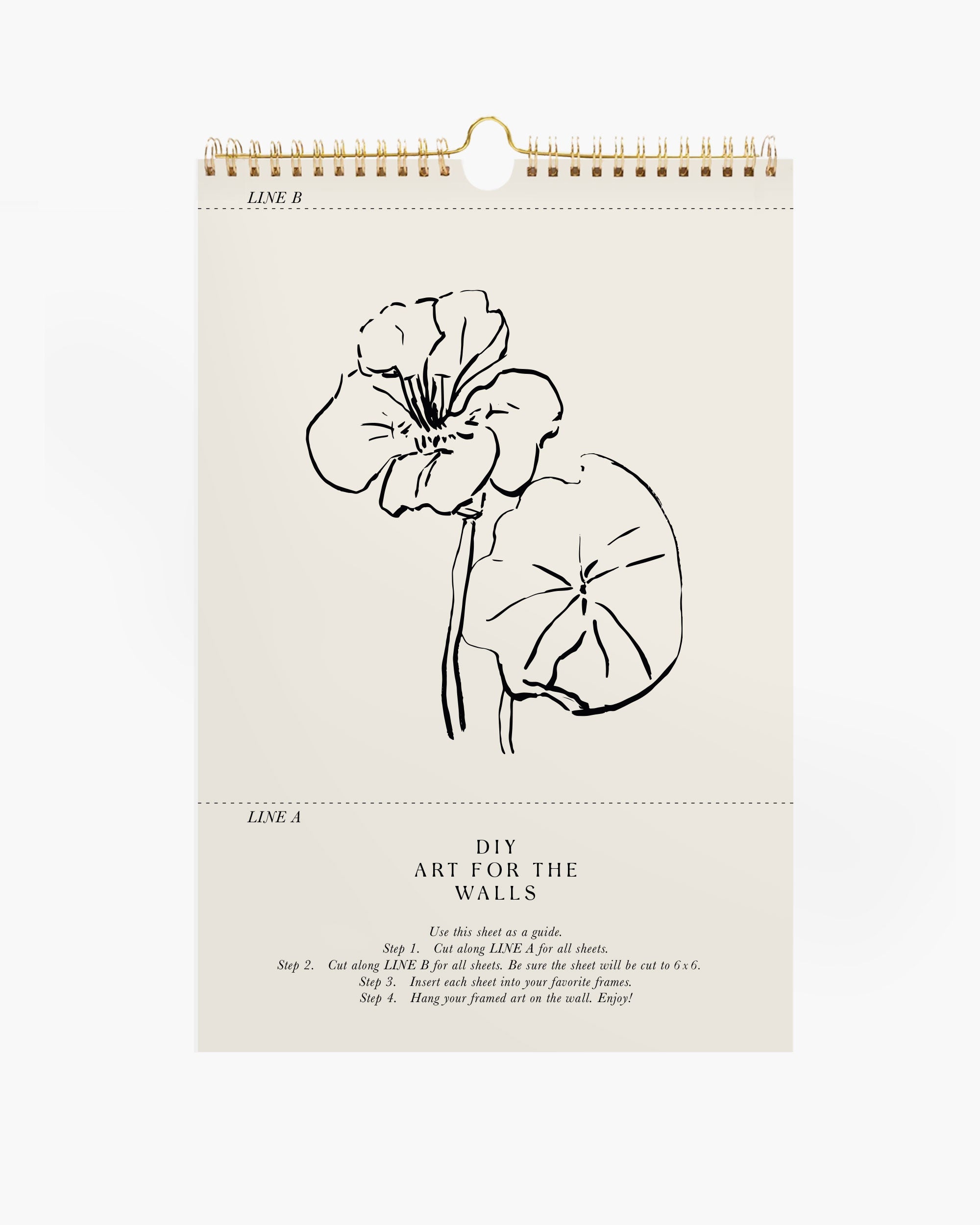 Aesthetic wall calendar and set of botanical art prints, neutral beige hand-drawn wall art decor for boho or farmhouse styles.