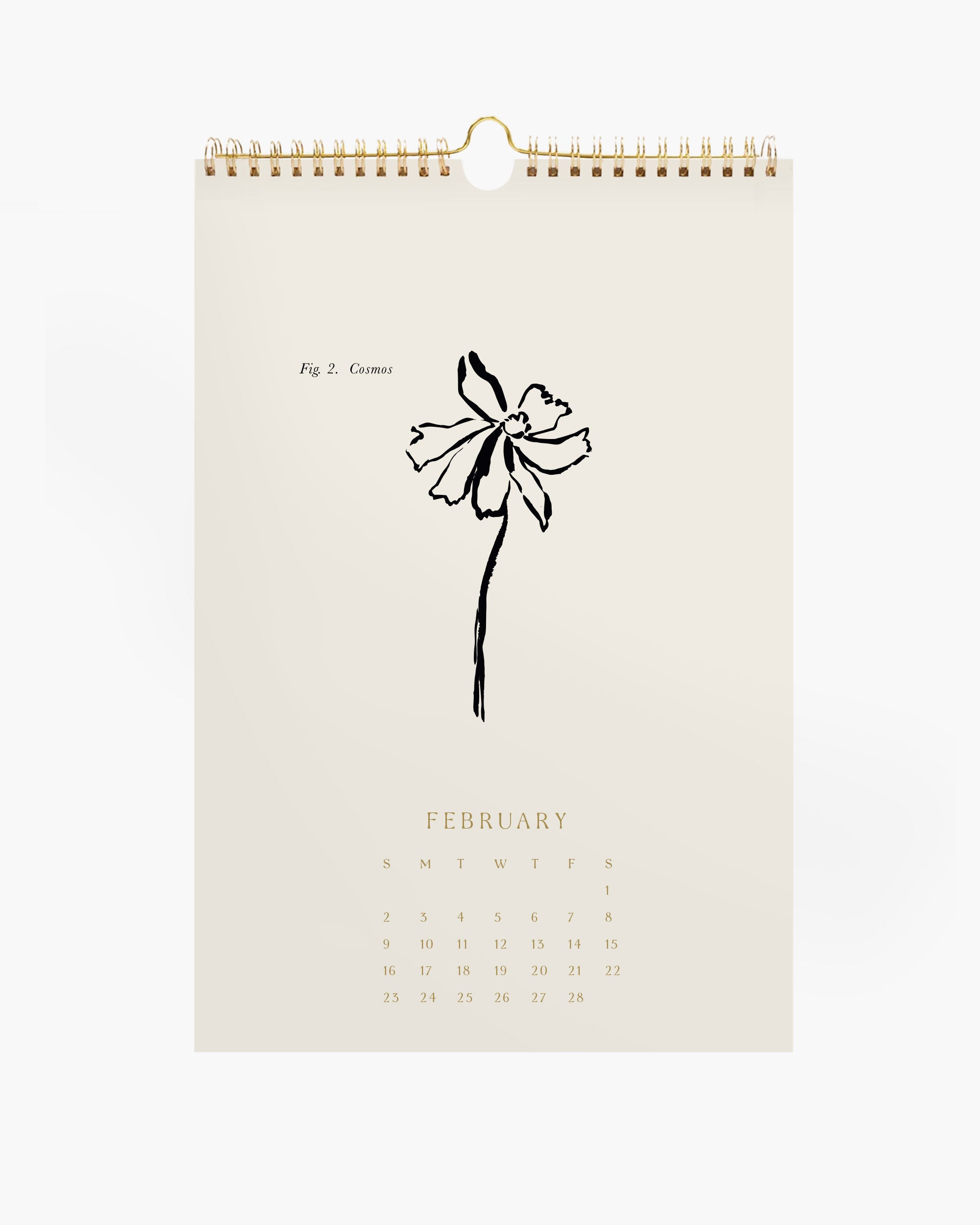 Aesthetic wall calendar and set of botanical art prints, neutral beige hand-drawn wall art decor for boho or farmhouse styles.