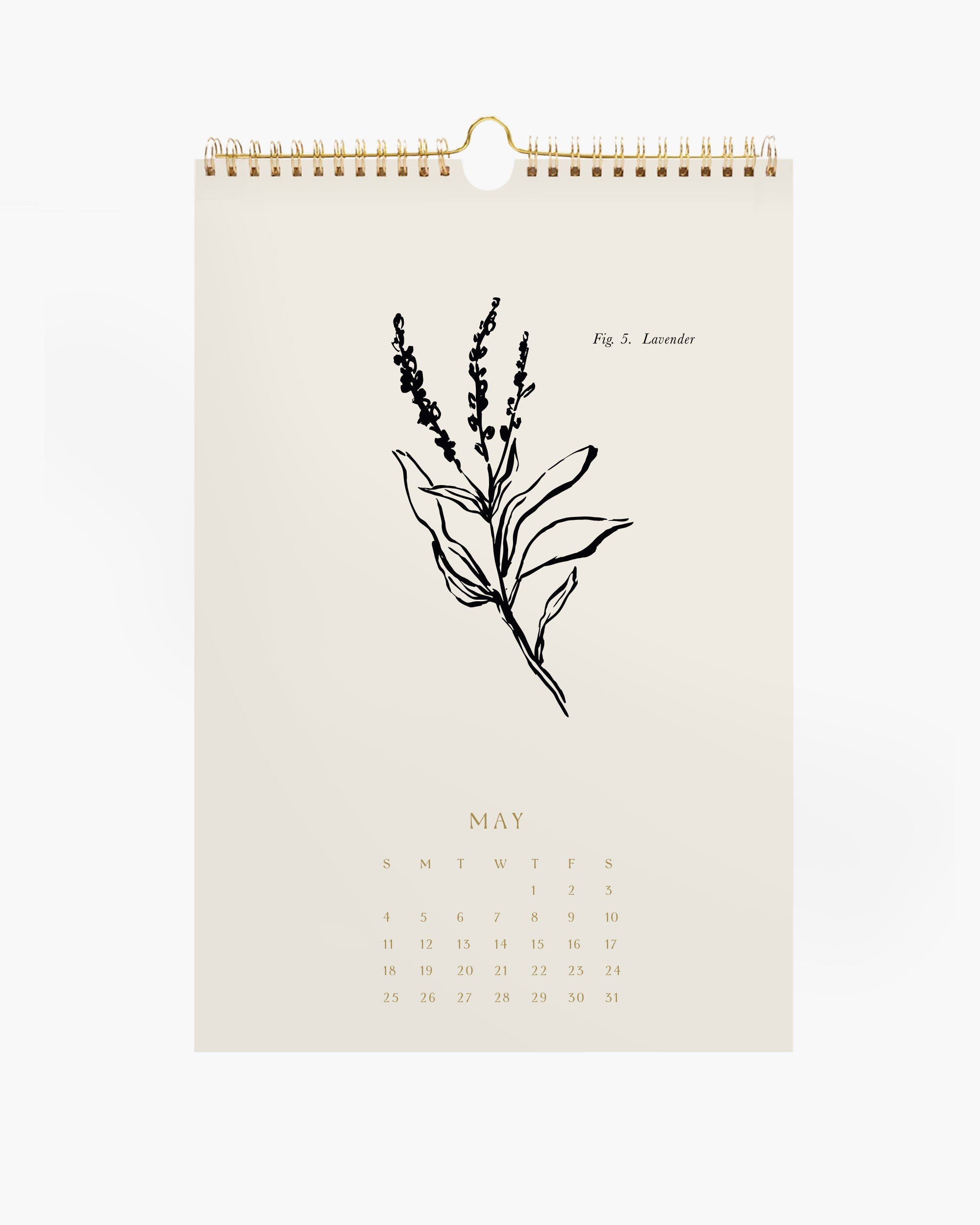 Aesthetic wall calendar and set of botanical art prints, neutral beige hand-drawn wall art decor for boho or farmhouse styles.