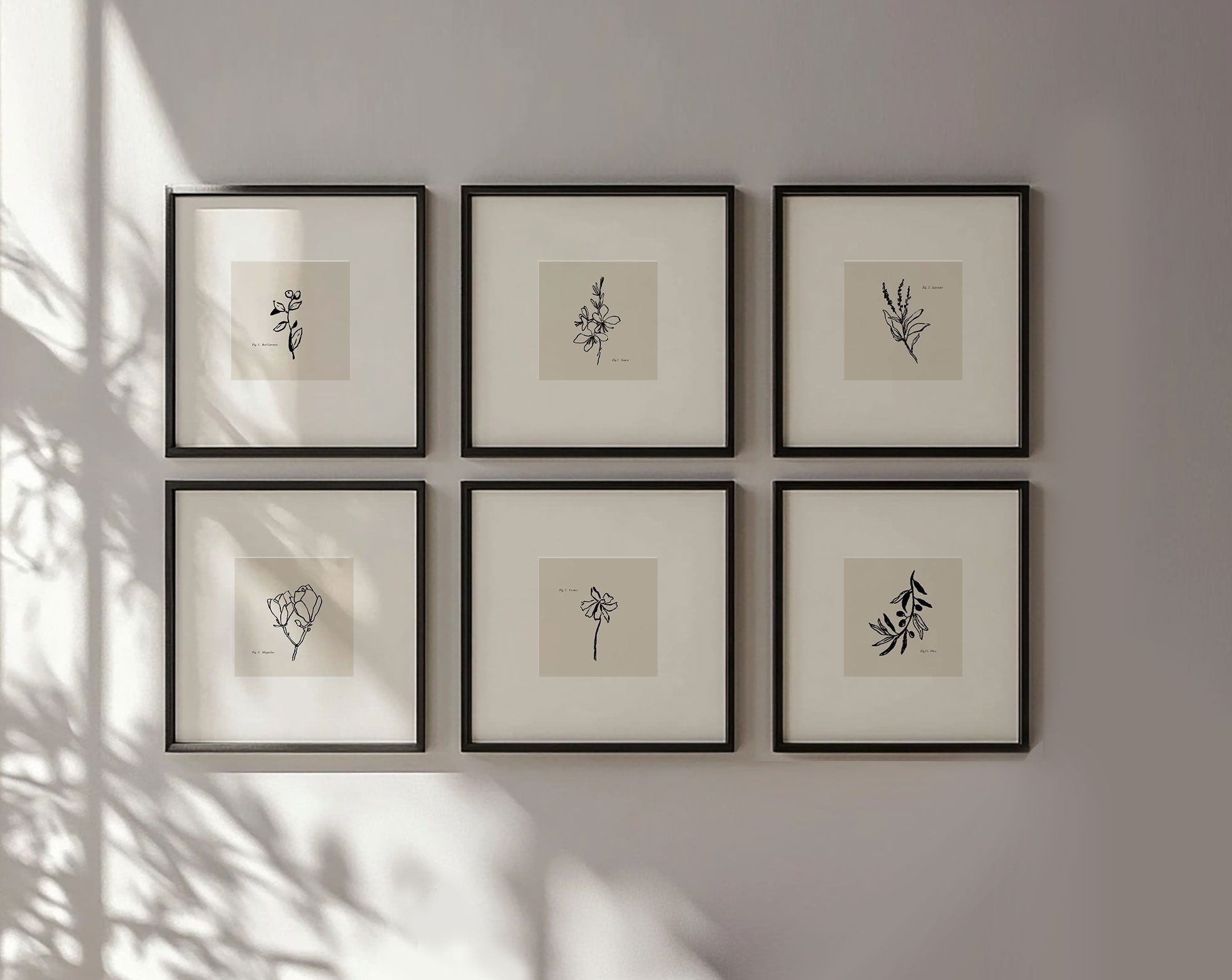 Aesthetic set of botanical art prints, shown framed and matted, hand-drawn wall art decor for boho or farmhouse styles.