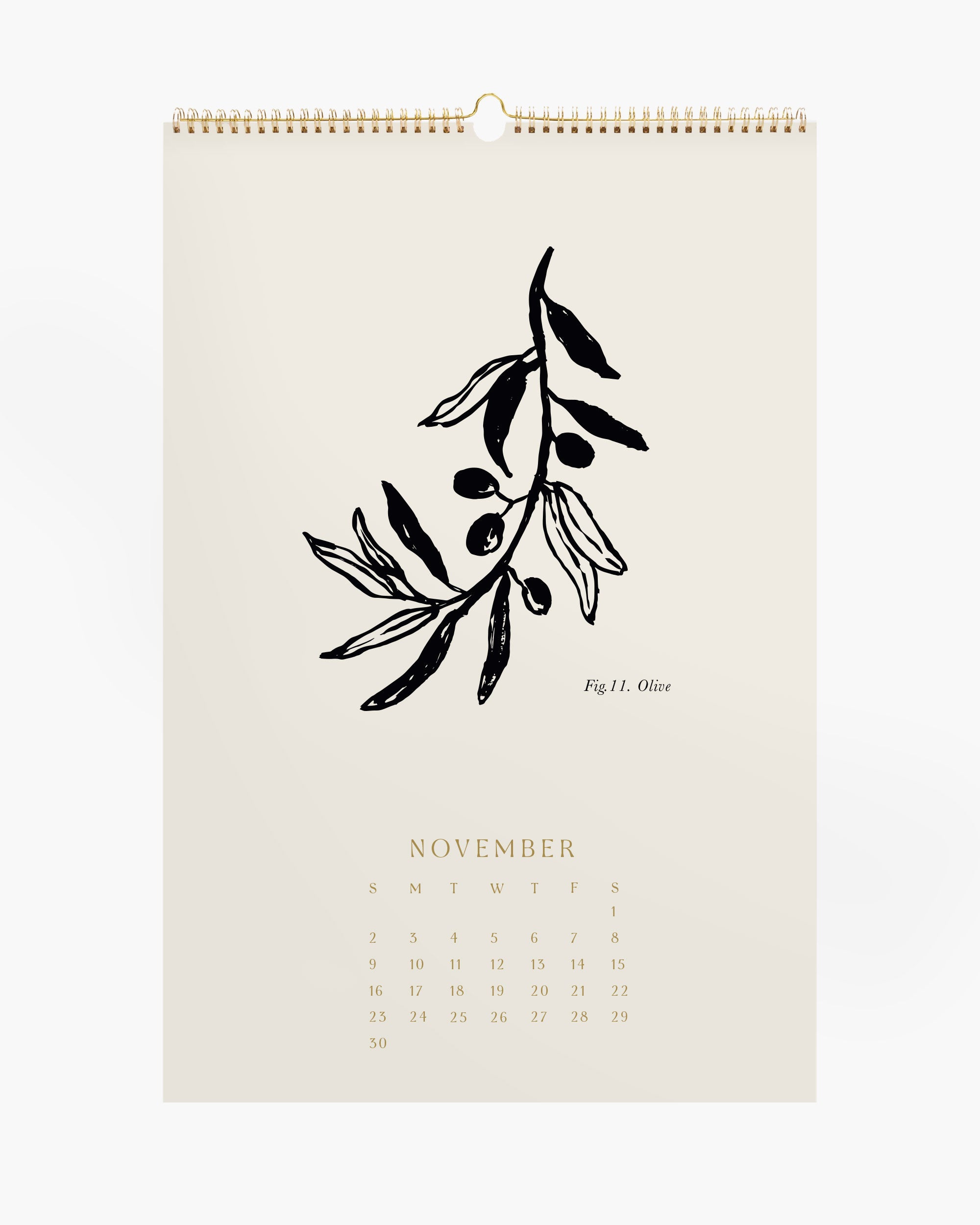 Aesthetic wall calendar and set of botanical art prints, hand-drawn wall art decor for boho or farmhouse styles.