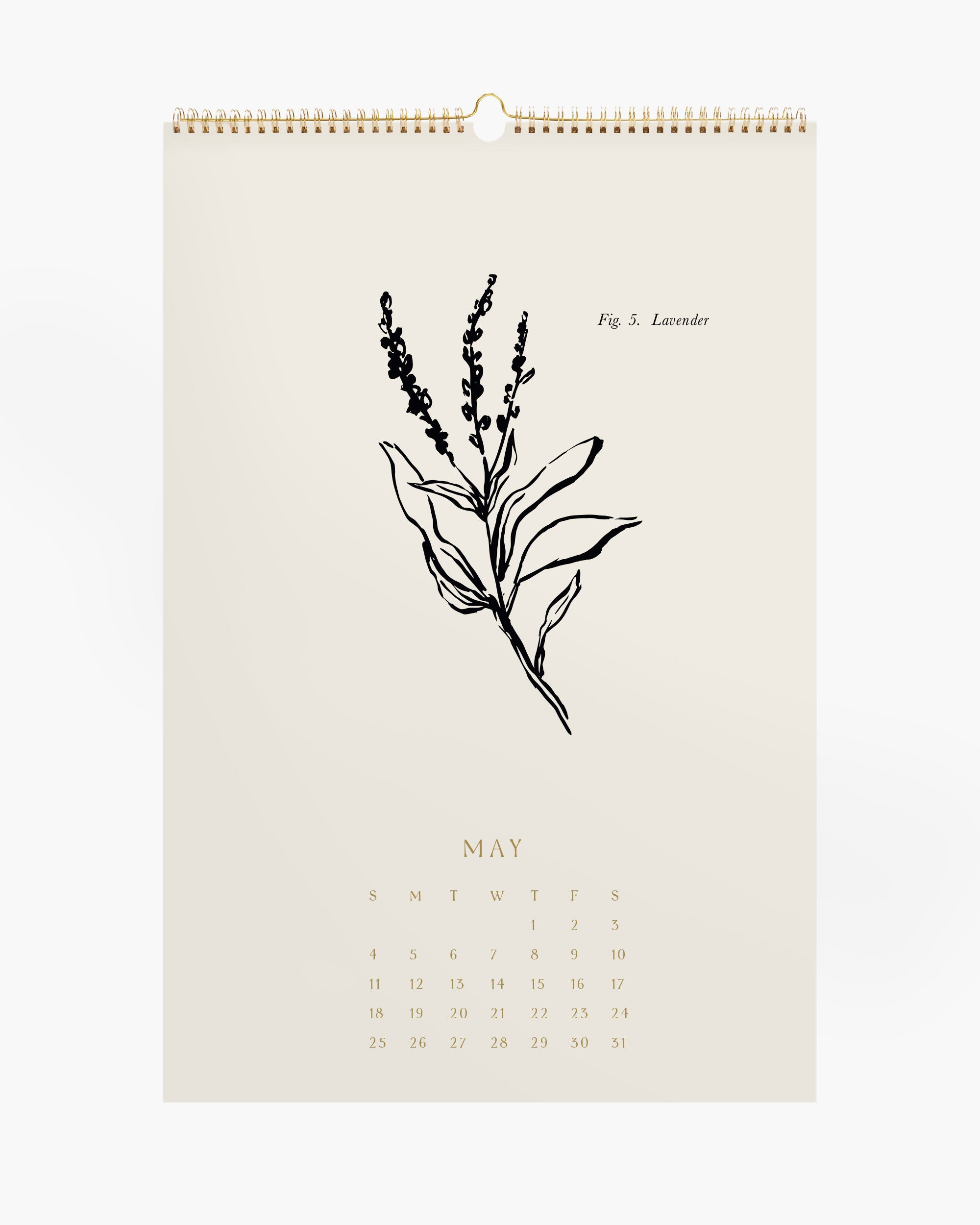 Aesthetic wall calendar and set of botanical art prints, hand-drawn wall art decor for boho or farmhouse styles.