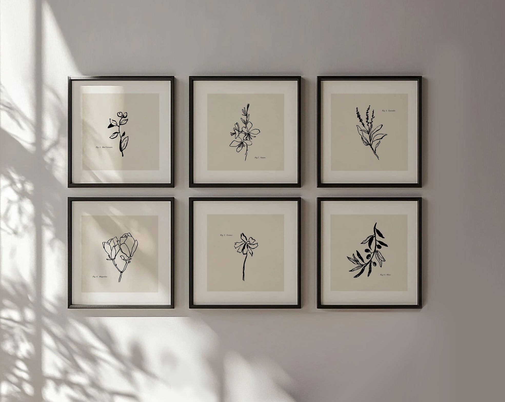 Aesthetic botanical art prints, in minimal black and neutral, wall art decor for boho or farmhouse styles.